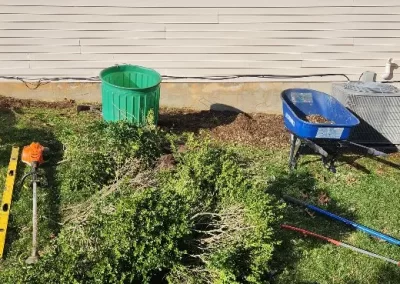 Landscape Companies