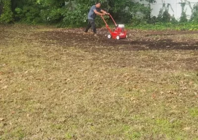Landscape Maintenance