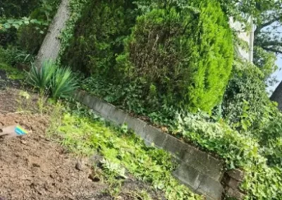 Landscaping Companies