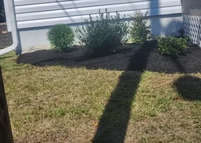 Landscaping Contractor