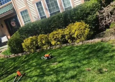 Landscaping Services (14)
