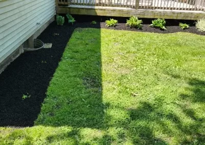 Landscaping Services (2)