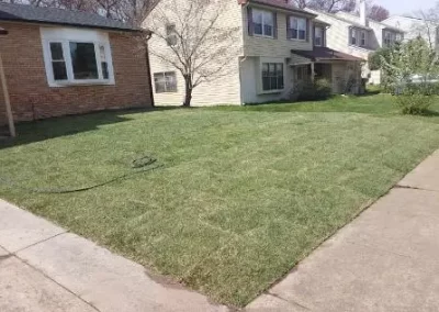 Landscaping Services (8)